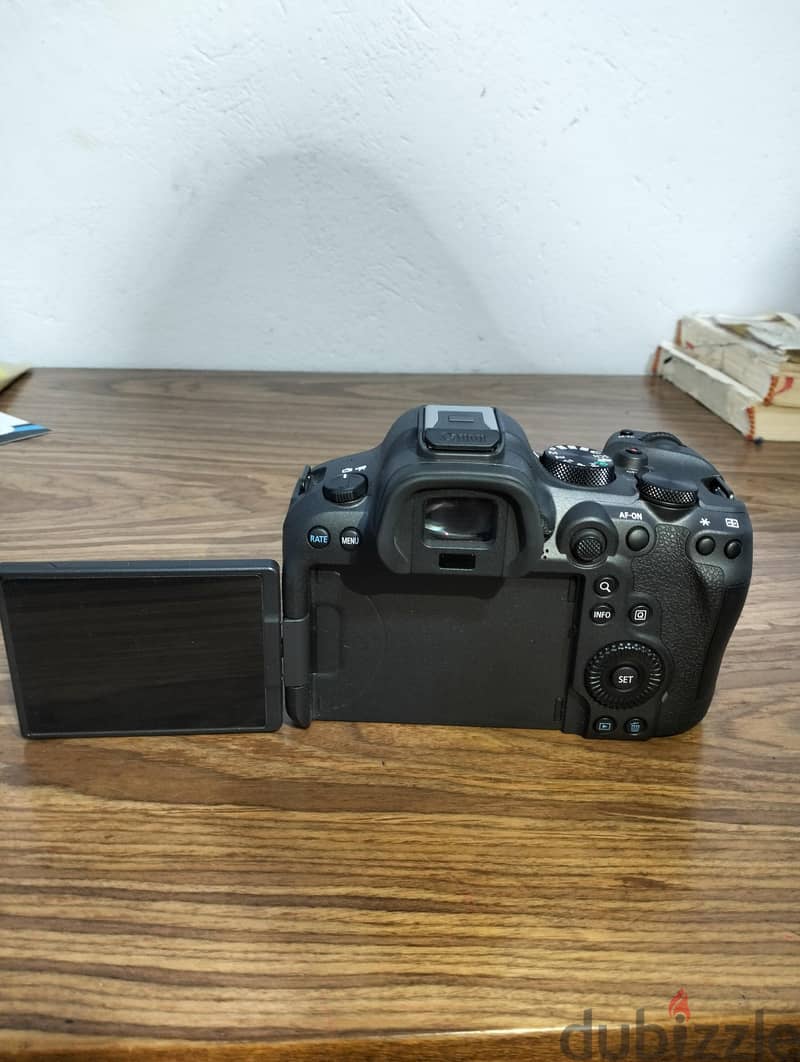  Canon EOS R6 Mark II 2
