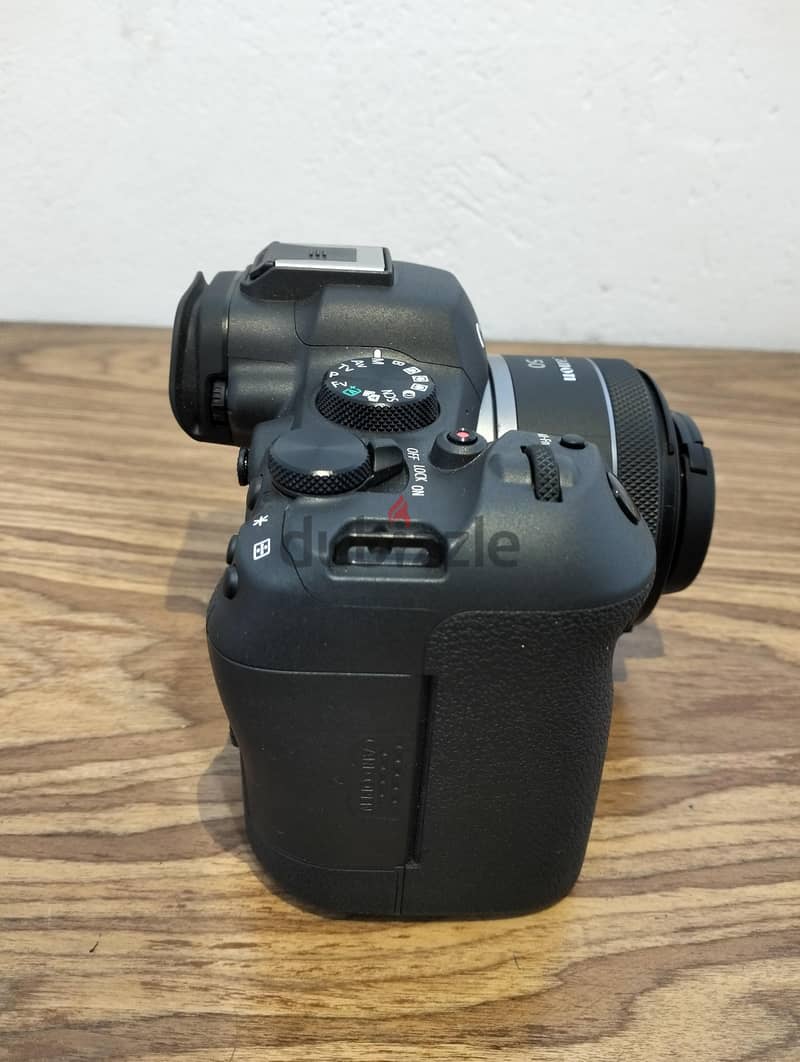  Canon EOS R6 Mark II 3