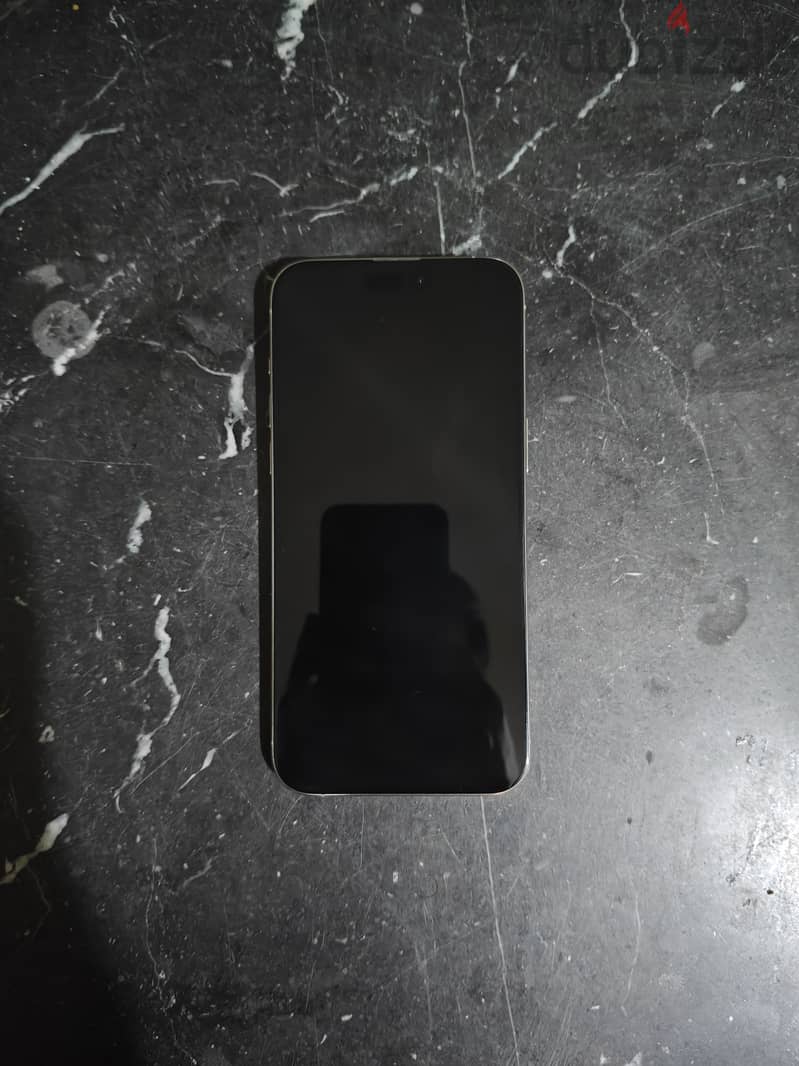 Apple iPhone 15 Pro Max 1