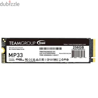 TeamGroup MP33 256GB NVMe SSD