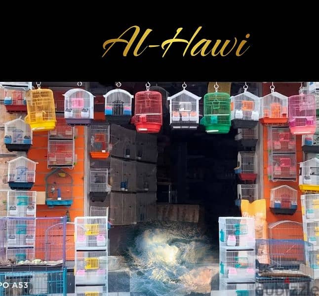 عصافير 2