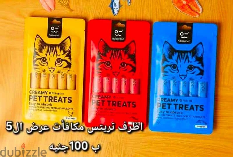 عصافير 6