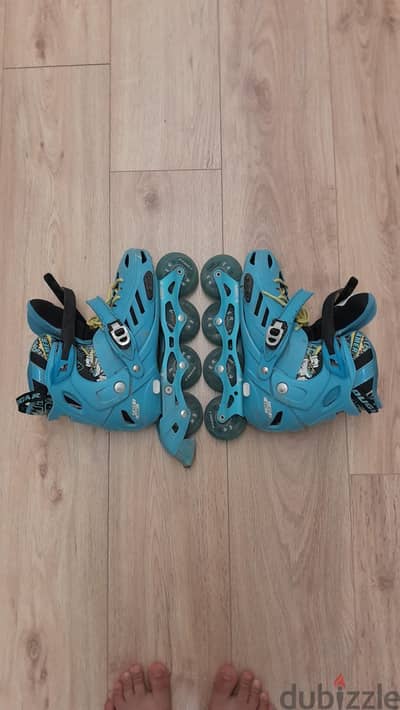 skate cougar 313
