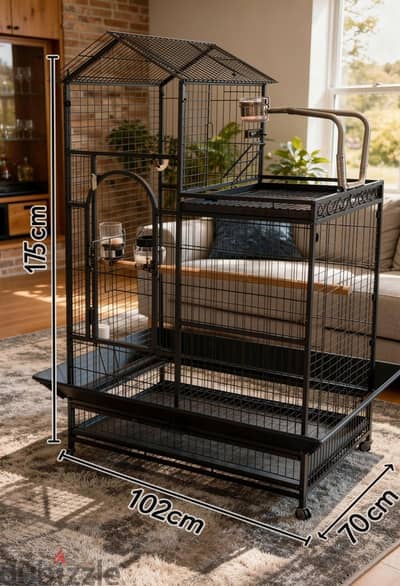 Cages Parrot