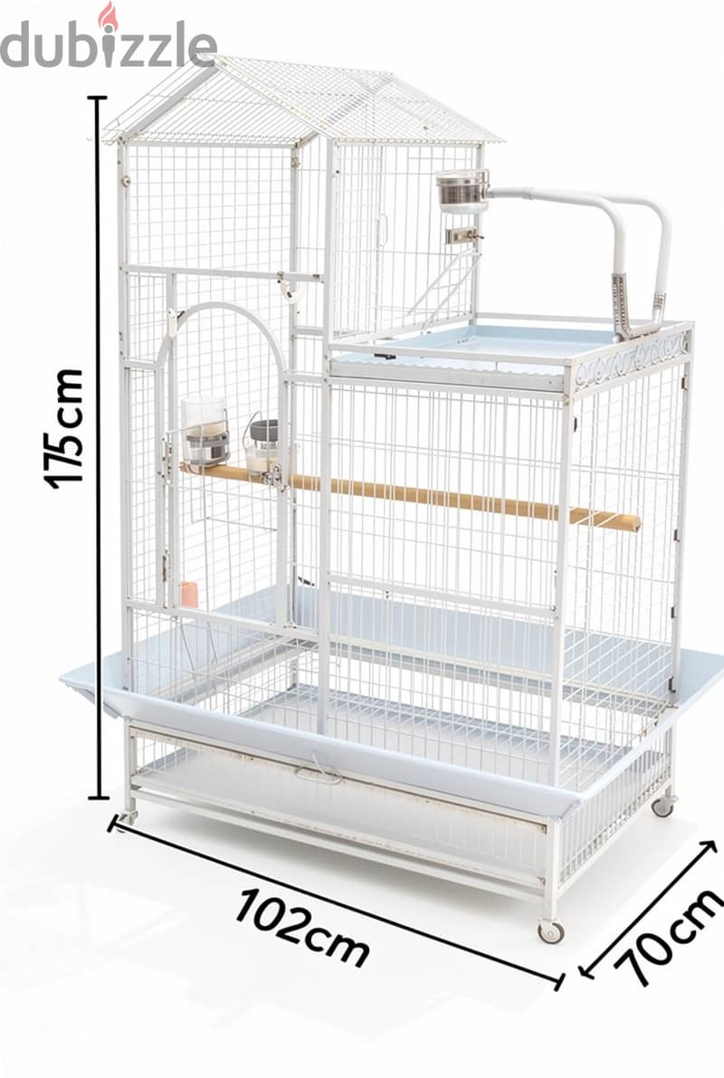 Cages Parrot 1