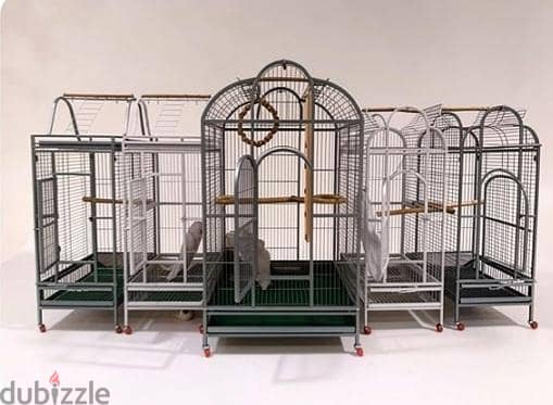 Cages Parrot 2