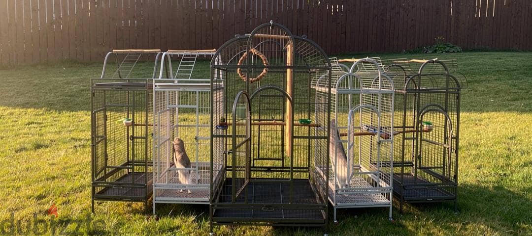 Cages Parrot 3