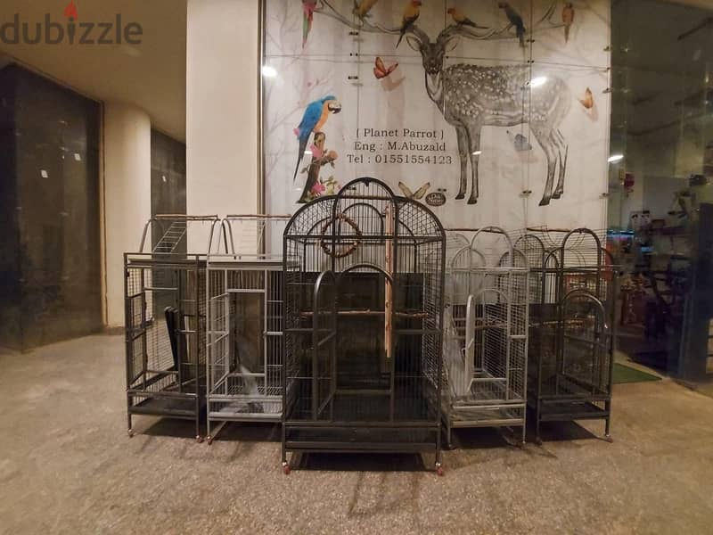 Cages Parrot 4