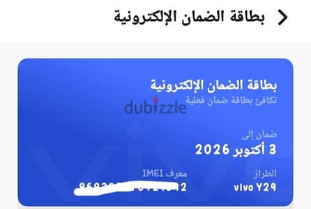 فيفو واى 29