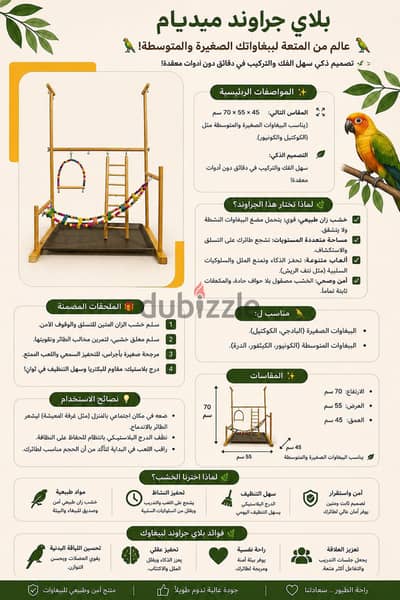 بغبغان عصفور طيور ببغاوات عصافير بغبغاء