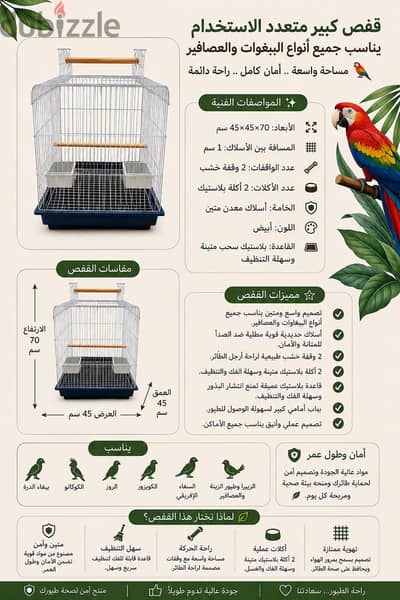 بغبغان عصفور طيور ببغاوات عصافير بغبغاء