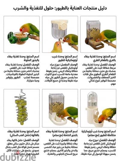 اكسسوارات بغبغان عصفور طيور ببغاوات عصافير بغبغاء