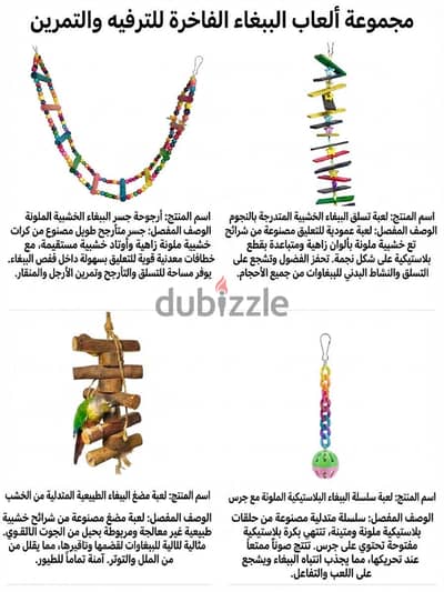 اكسسوارات بغبغان عصفور طيور ببغاوات عصافير بغبغاء