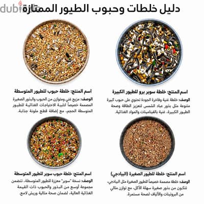 اكل بغبغان عصفور طيور ببغاوات عصافير بغبغاء