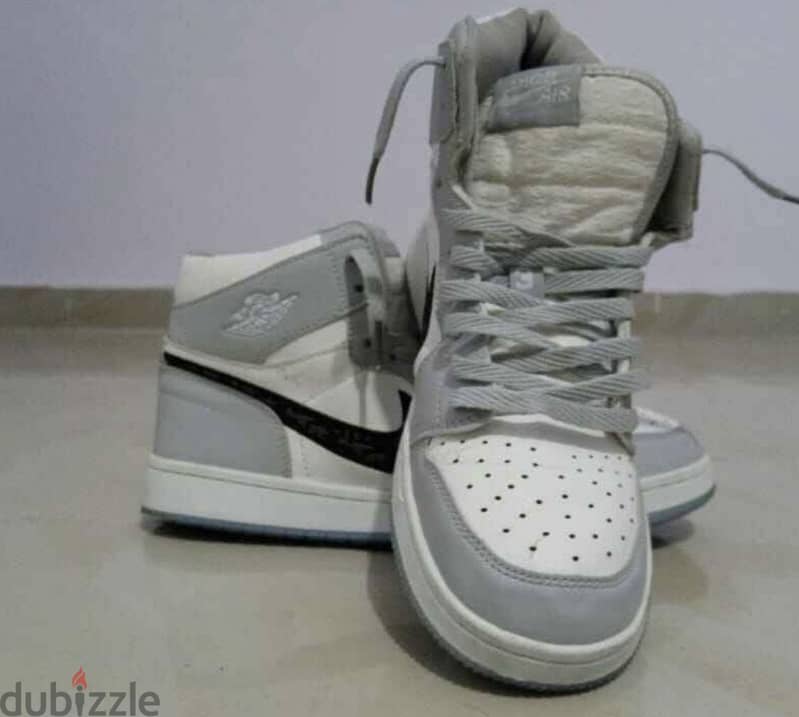 Air jordan dior 1