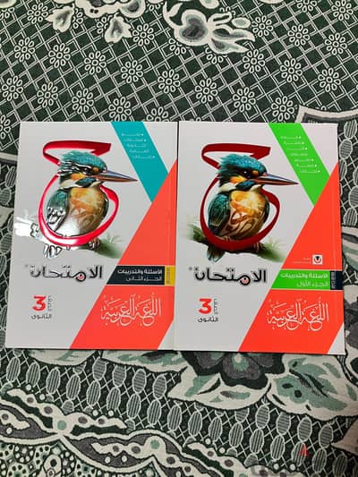 الامتحان عربي اسئلة 2026 ثانوية عامة