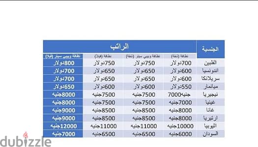 خدمات بيبي سيتر ورعاية اطفال