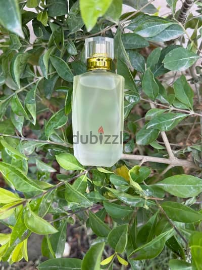 عطور تركيب ثبات وجوده كل الانواع