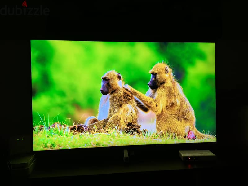 Samsung qled 55 inch 2