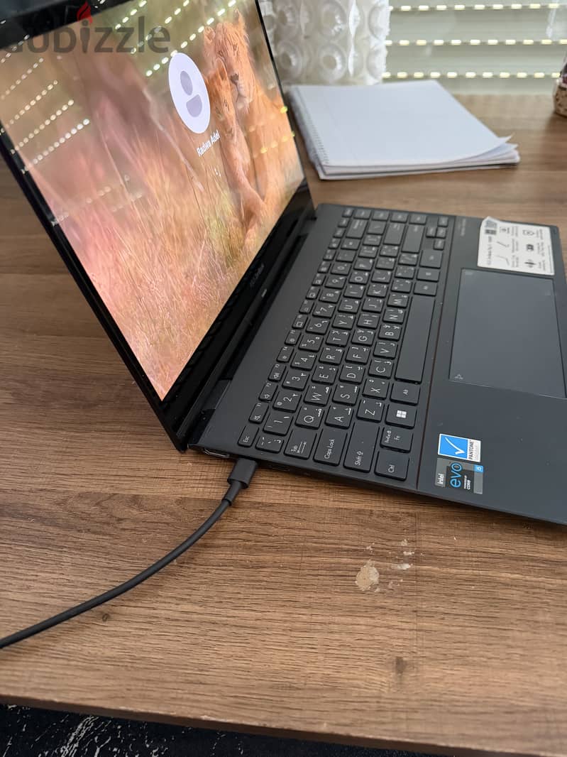 Asus Touch Zenbook 2