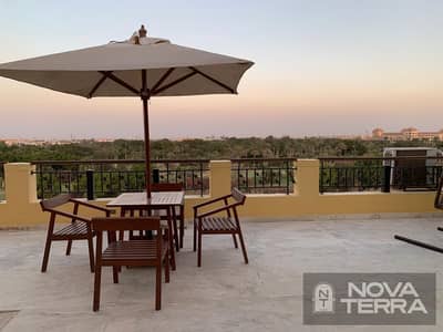Fully Furnished Luxury Apartment for Rent – Dreamland Compound