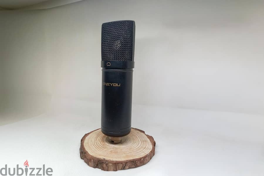 Home Studio Starter Bundle – Behringer UM2, Zingyou Mic, Alesis V-Mini 3