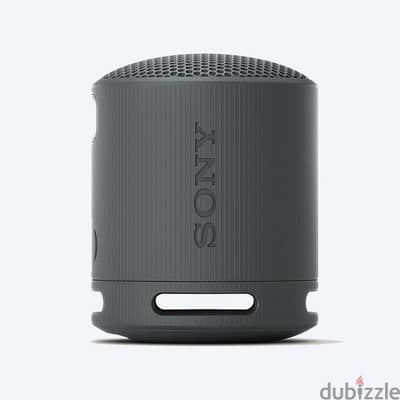 sony srs-xb100
