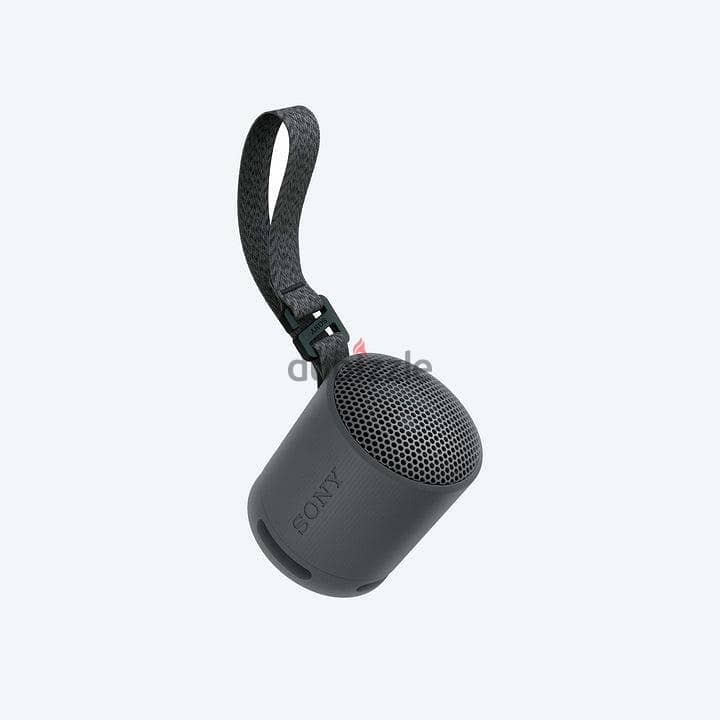 sony srs-xb100 1