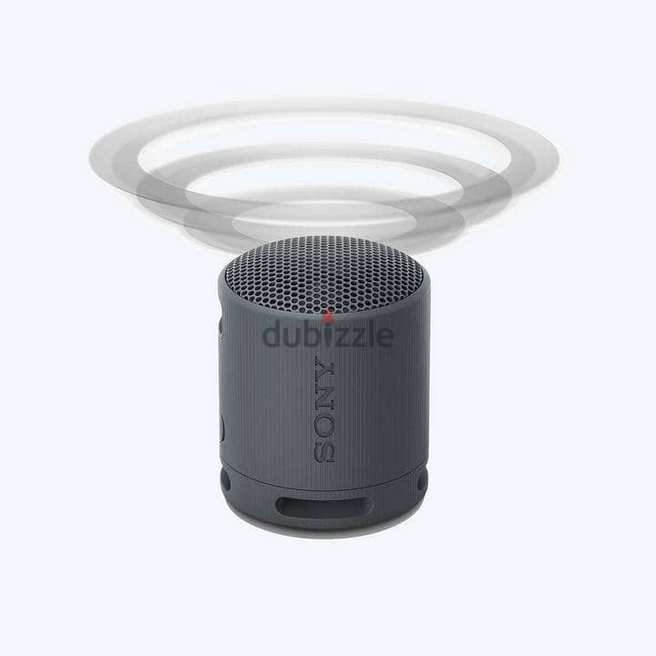 sony srs-xb100 5