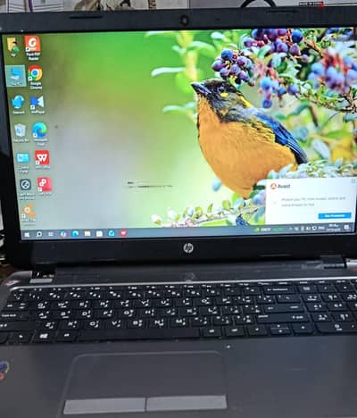 لاب hp لقطه لسرعه البيع