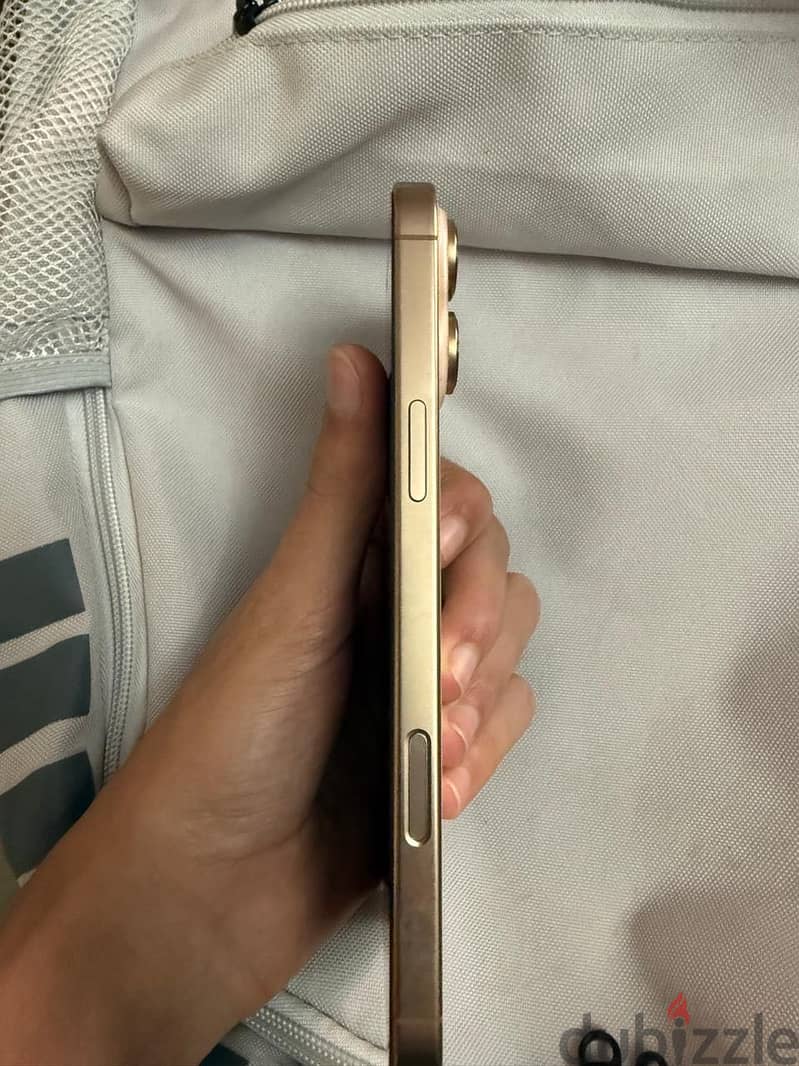 iPhone 16 Pro Max 256 GB 4