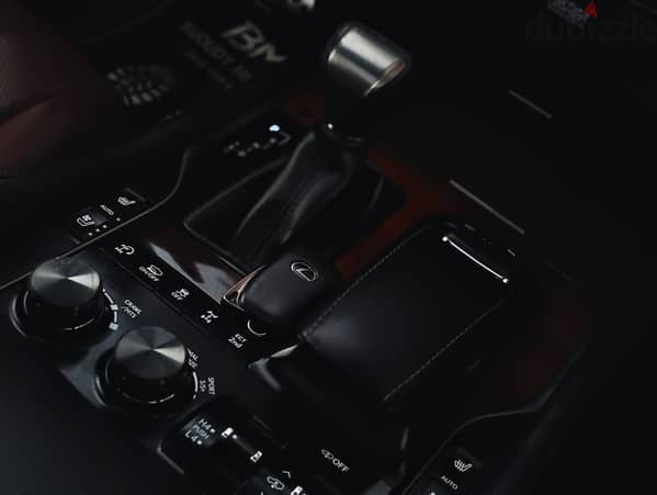 Lexus Other 2020