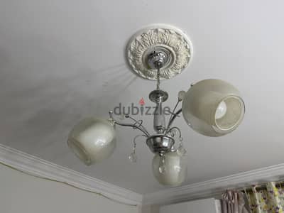 نجف متنوع