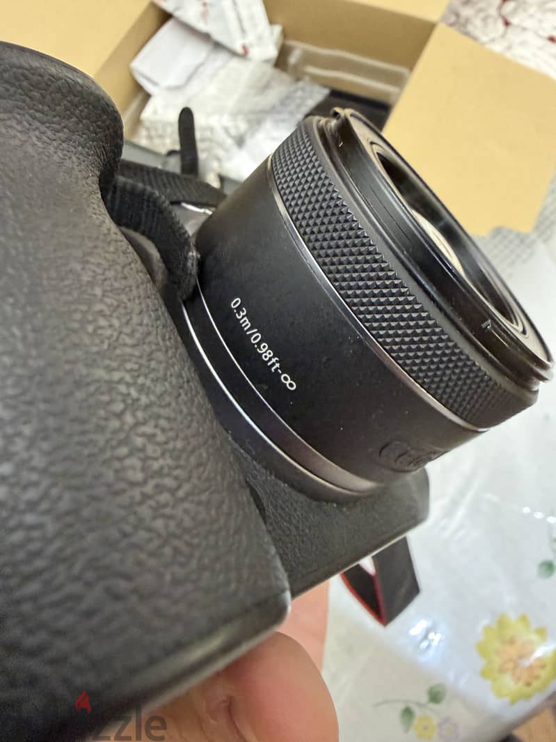 Canon EOS R6 Mark ii 4