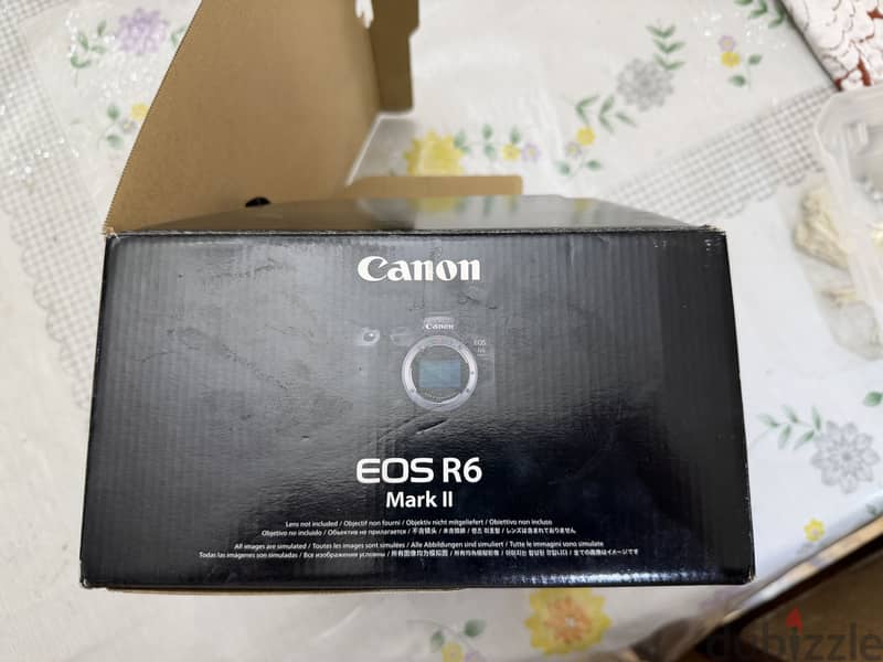 Canon EOS R6 Mark ii 6