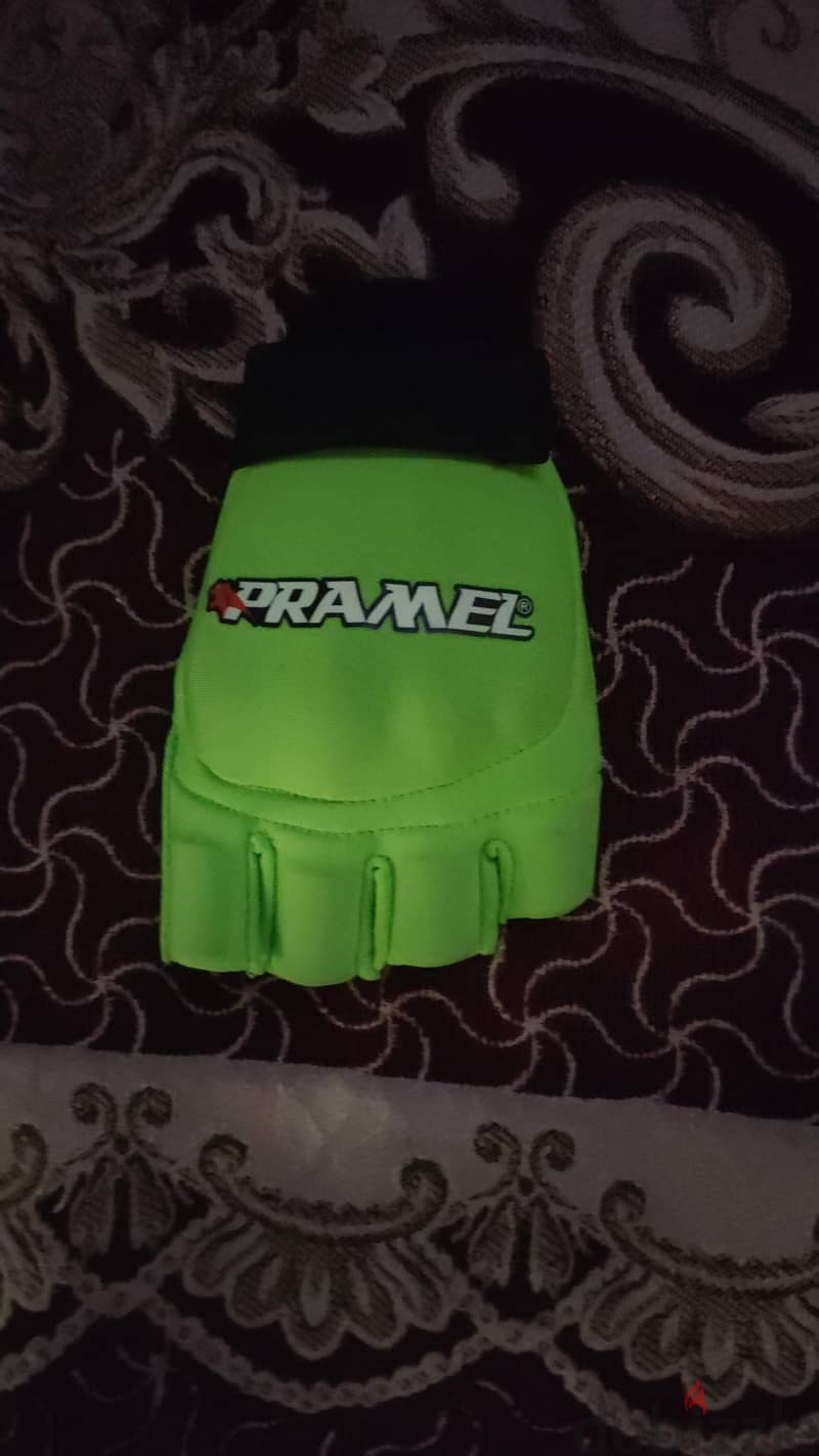 Hockey Gloves 1