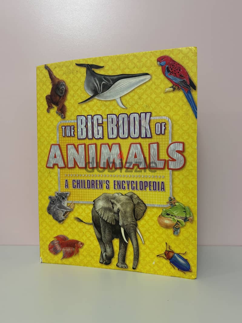 Five Children’s Books in Excellent condition 3