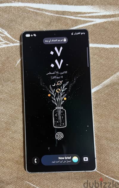 Samsung S25 Ultra