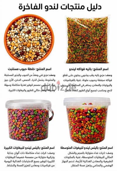 بغبغان عصفور طيور ببغاوات عصافير بغبغاء