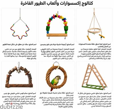 بغبغان عصفور طيور ببغاوات عصافير بغبغاء