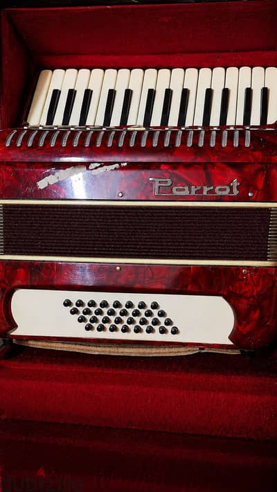 أكورديون Parrot للبيع