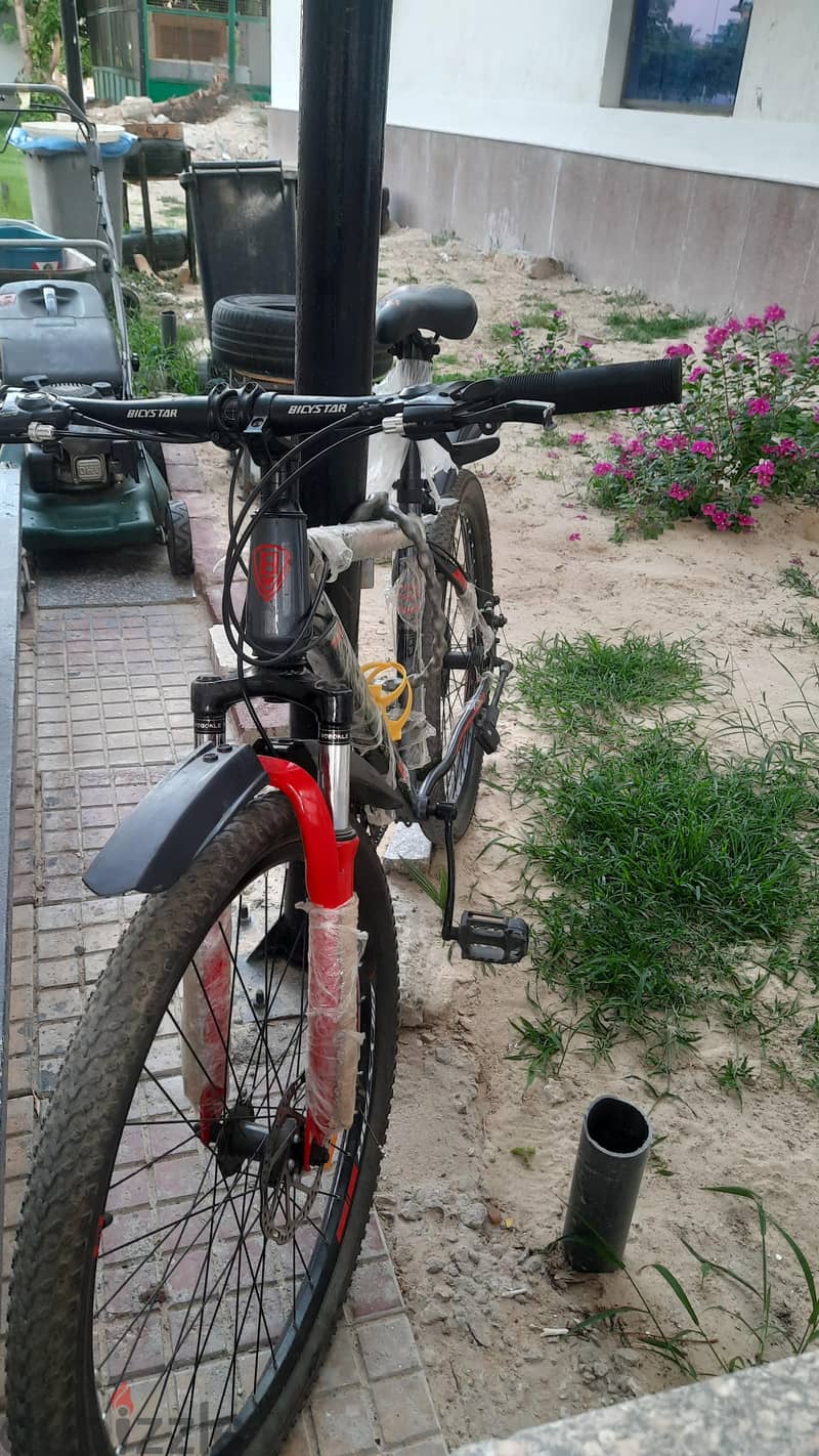 Bicystar mountain 1