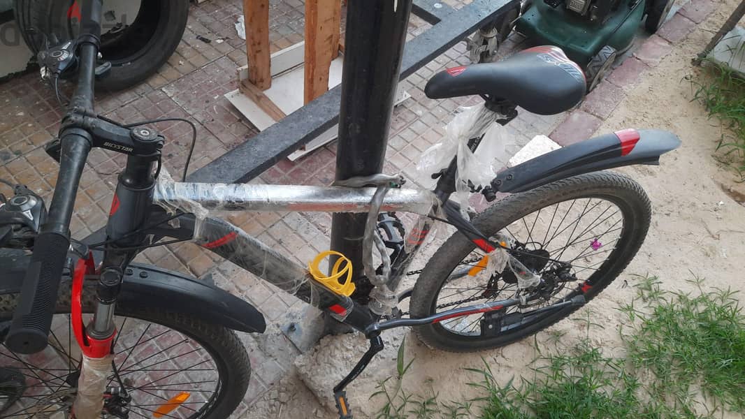 Bicystar mountain 2