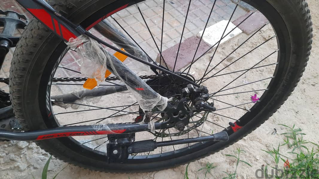 Bicystar mountain 4