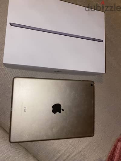 iPad generation 5 rose gold
