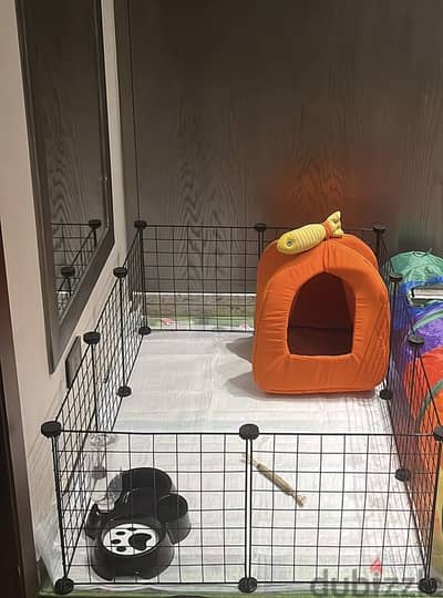 Rabbit house