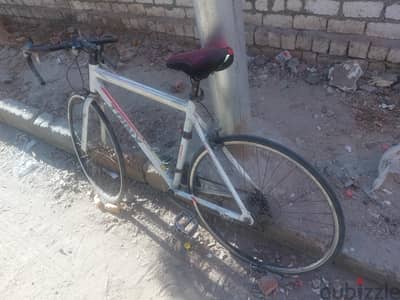 عجله ترينكس r 310