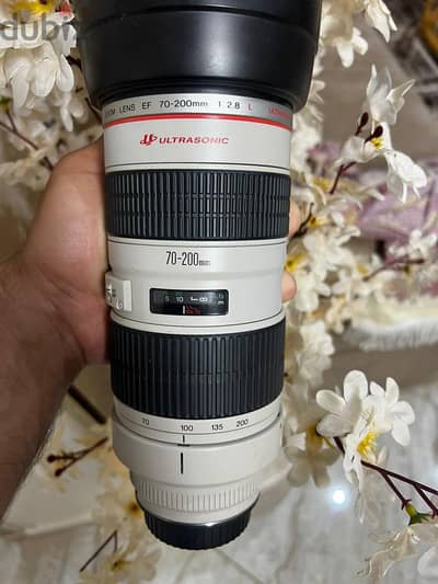 Canon 70/200