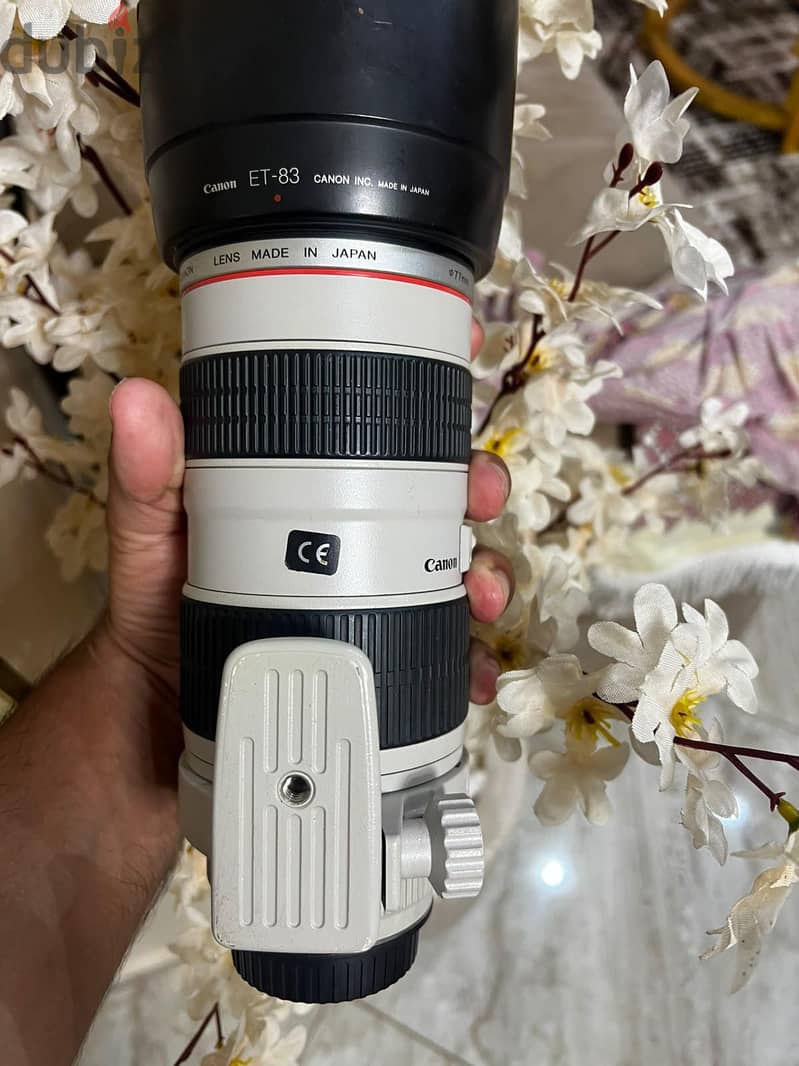 Canon 70/200 1