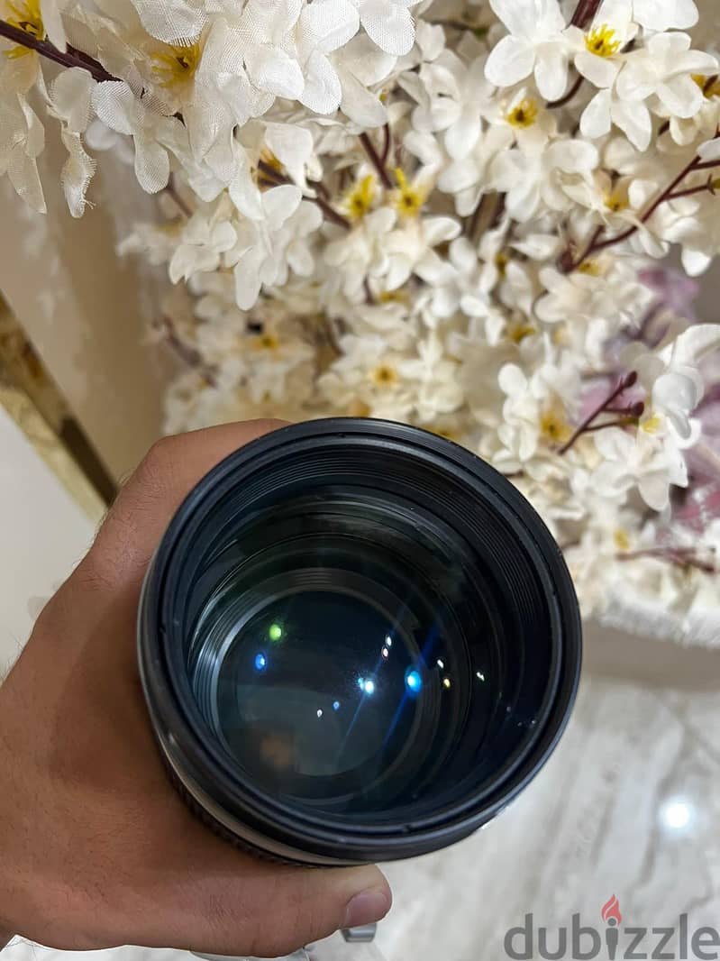 Canon 70/200 2